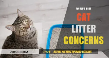 Top-Rated Cat Litter Raises Concerns Among Pet Owners