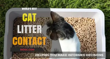 Purr-fectly Clean: Unveiling the World's Best Cat Litter for Maximum Comfort and Odor Control