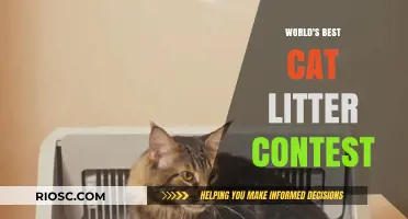 Purr-fectly Competitive: The Quest for the World's Best Cat Litter