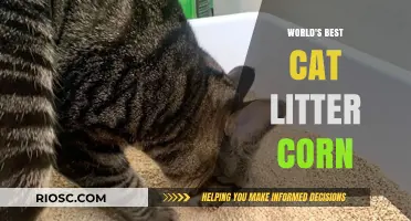 Revolutionary Corn-Based Cat Litter: The Eco-Friendly Choice for the World's Best Feline Care