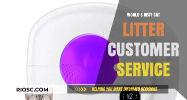 Purr-fect Support: Unveiling the World's Best Cat Litter Customer Service