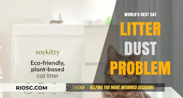 Revolutionary Solution to the World's Best Cat Litter Dust Problem Unveiled