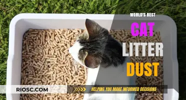 Purr-fectly Clean: Unveiling the World's Best Cat Litter Dust for a Spotless Home