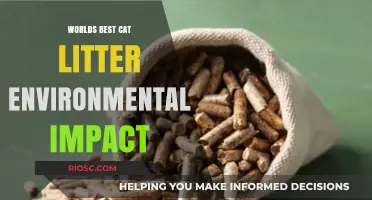 Eco-Friendly Feline: Unveiling the Environmental Impact of the World's Best Cat Litter