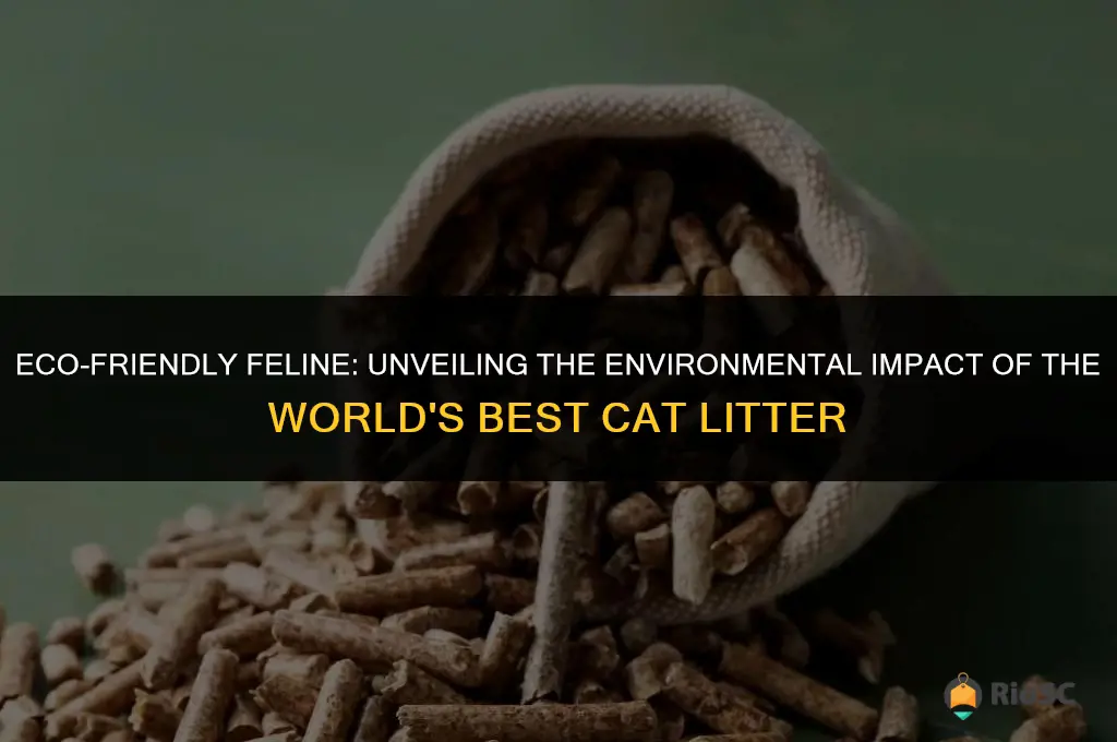 worlds best cat litter environmental impact