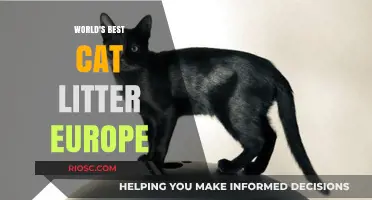 Top-Rated Cat Litter in Europe: A Comprehensive Guide for Feline Friends