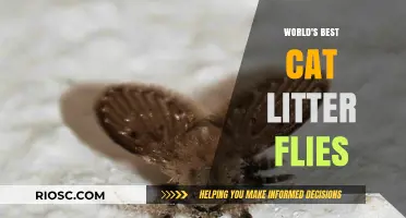 Purr-fectly Clean: The World's Best Cat Litter Flies Away!