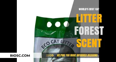 Purr-fectly Natural: Discover the World's Best Cat Litter with a Fresh Forest Scent