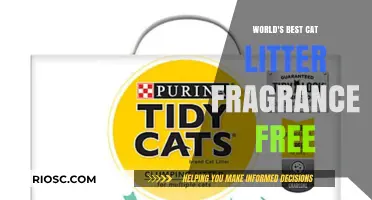 Purr-fectly Scentless: Discovering the World's Best Fragrance-Free Cat Litter