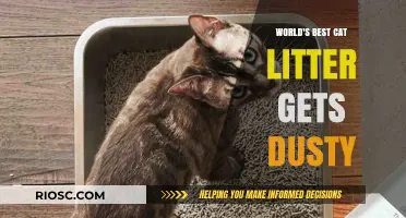 Purr-fectly Clean No More: The World's Best Cat Litter Gets Dusty