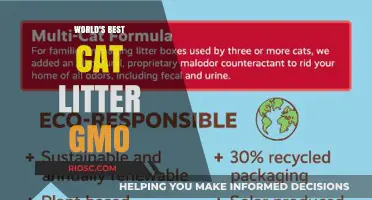 Revolutionary GMO Cat Litter: The Future of Feline Hygiene