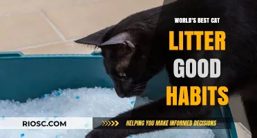 Purr-fectly Clean: The Ultimate Guide to Choosing the World's Best Cat Litter and Maintaining Good Habits