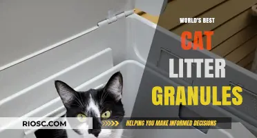 Revolutionary Granules: Unveiling the World's Best Cat Litter Solution