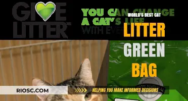 Revolutionize Your Feline Friend's Comfort: Discover the World's Best Cat Litter in a Green Bag!