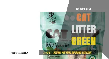 Revolutionize Your Feline Friend's Comfort: Discover the World's Best Green Cat Litter!