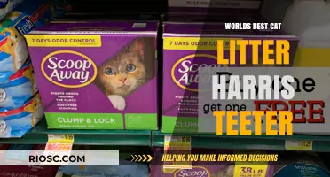 Unveiling the Purr-fect Choice: Harris Teeter's World's Best Cat Litter
