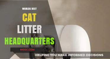 Purr-fectly Clean: Unveiling the World's Best Cat Litter Headquarters