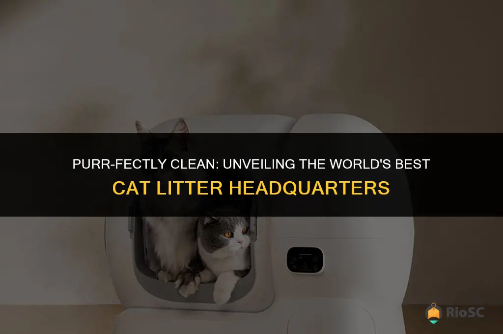 worlds best cat litter headquarters