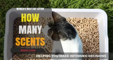 Exploring the World's Best Cat Litter: A Guide to the Top Scents