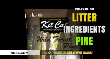 Exploring the Top Ingredients for Premium Pine Cat Litter: A Comprehensive Guide