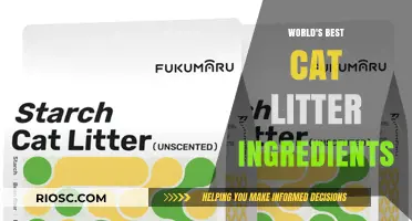 Purr-fectly Clean: Uncovering the Top Ingredients for the World's Best Cat Litter