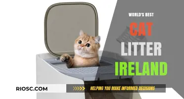 Purr-fectly Clean: Unveiling Ireland's Top Cat Litter Choice for Happy Felines