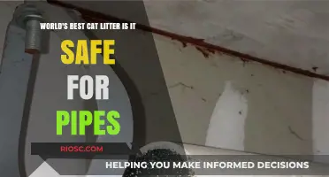 Exploring the Safety of the World's Best Cat Litter for Your Pipes