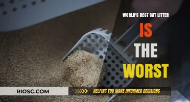 The Surprising Truth: Why the World's Best Cat Litter Might Be the Worst for Your Feline Friend