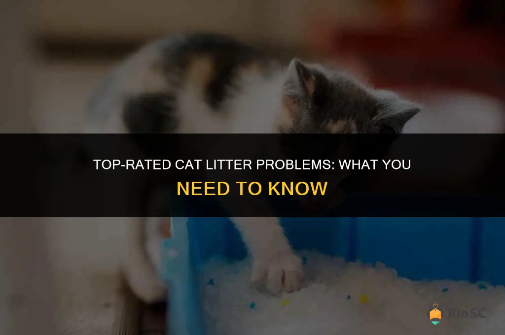 worlds best cat litter issues