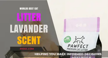 Purr-fectly Pleasant: Lavender Scented Cat Litter Takes the Throne as World's Best