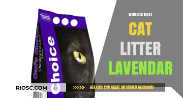 Purr-fectly Pleasant: Lavender Cat Litter Takes the Throne as World's Best