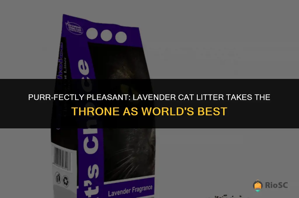 worlds best cat litter lavendar