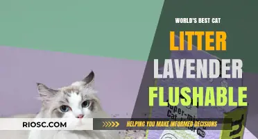 Lavender Flushable Cat Litter: The Ultimate Choice for Feline Friends and Eco-Conscious Owners