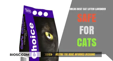 Purr-fectly Safe: Lavender-Infused Cat Litter That Cats Love and Owners Trust
