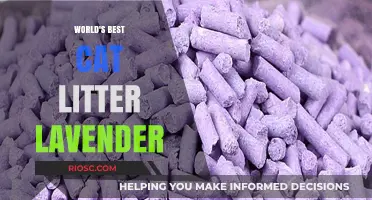 Lavender Bliss: Discover the World's Best Cat Litter for a Fresh and Soothing Experience
