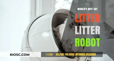 Revolutionize Your Cat Care: Why Litter Robot is Crowned the World's Best Cat Litter Solution