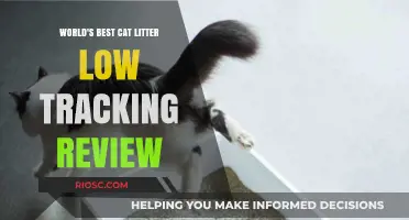 Purr-fectly Clean: A Review of the World's Best Low-Tracking Cat Litter