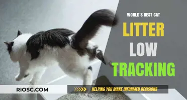 Revolutionary Low-Tracking Cat Litter: The World's Best Solution for a Cleaner Home