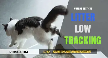 Revolutionary Low-Tracking Cat Litter: The Ultimate Solution for a Cleaner Home