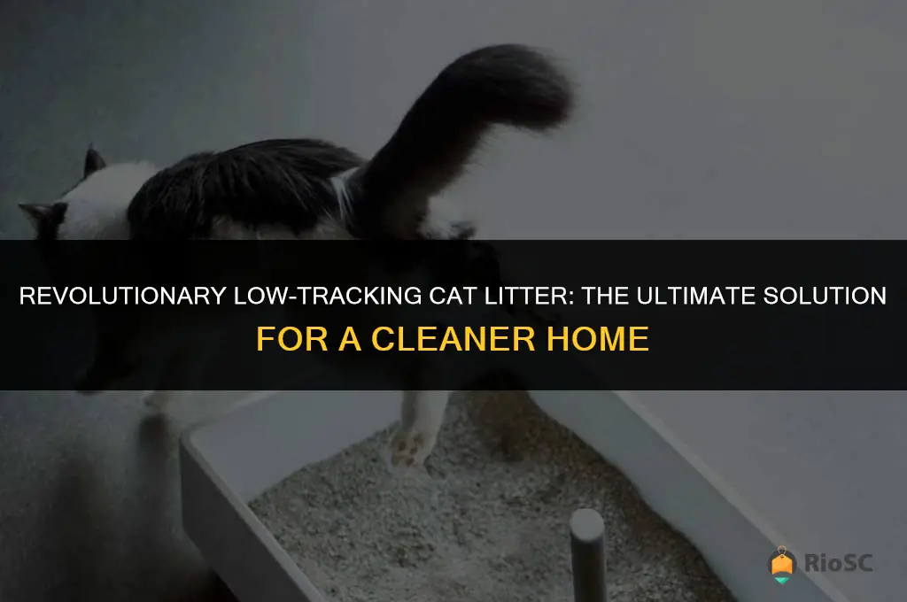 worlds best cat litter low tracking