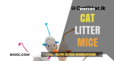 Purr-fectly Crafted: The Ultimate Guide to the World's Best Cat Litter Mice
