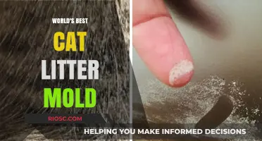 Revolutionary Cat Litter Mold Takes the Throne: A Game-Changer for Feline Hygiene