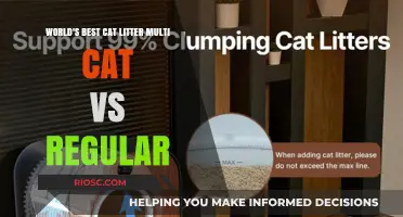 Multi Cat vs Regular Cat Litter: Which Reigns Supreme for Your Feline Family?