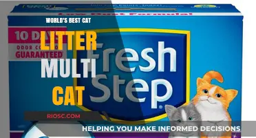 Revolutionary Multi-Cat Litter: The Ultimate Solution for Busy Cat Owners