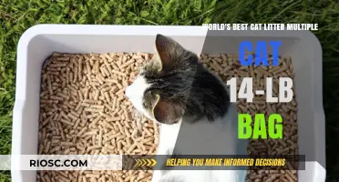 Purr-fectly Clean: The Ultimate Guide to Choosing the World's Best Cat Litter for Multiple Cats