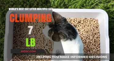 Top-Rated Clumping Cat Litter for Multi-Cat Households: 7-Pound Option