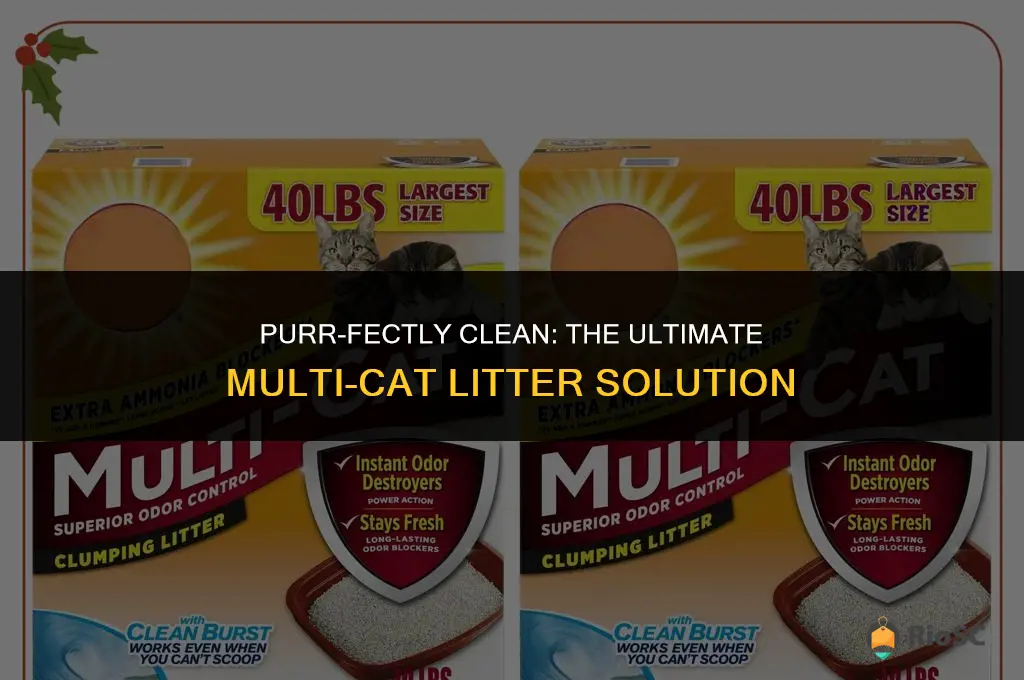 worlds best cat litter multiple cat formula