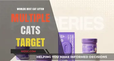 Purr-fectly Clean: The Ultimate Cat Litter for Multi-Cat Households at Target
