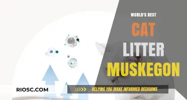 Unveiling the World's Best Cat Litter: A Muskegon Favorite