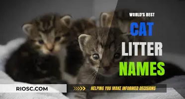 Purr-fect Picks: The World's Best Cat Litter Names for Your Feline Friend